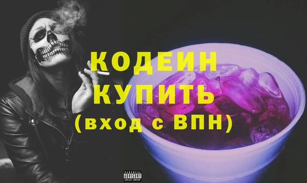 гидра Инта