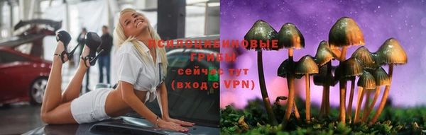 экстази Данков