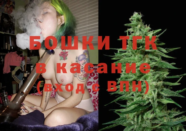 твердый Инсар