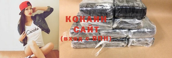 твердый Инсар