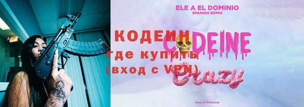 твердый Инсар