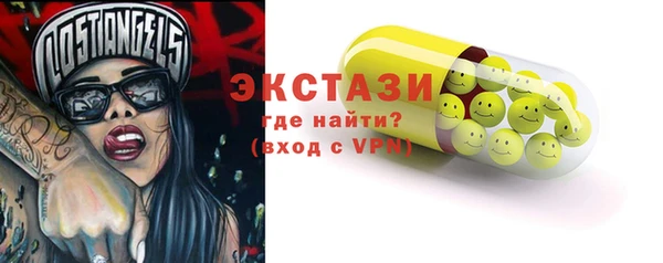 гидра Инта