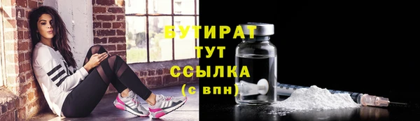 гидра Инта