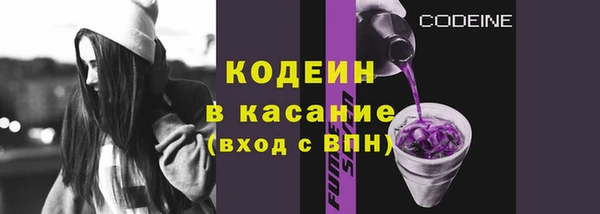 твердый Инсар