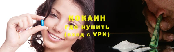 гидра Инта