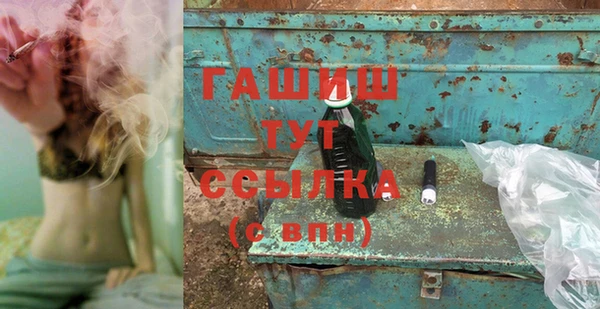 гидра Инта