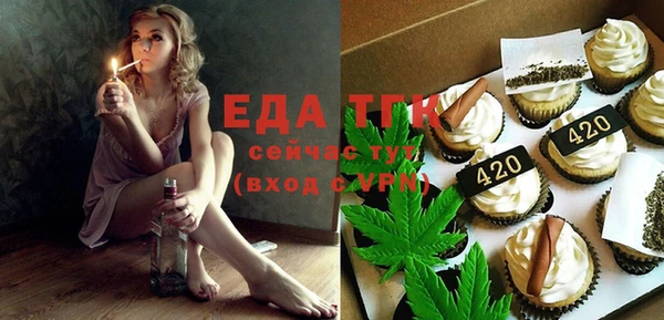 гидра Инта