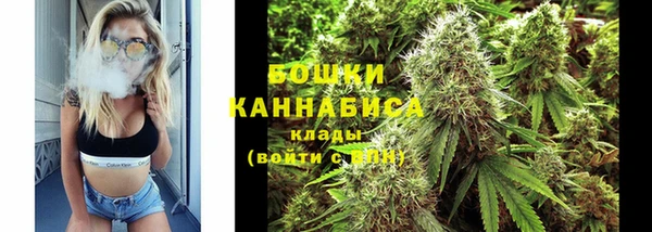 гидра Инта