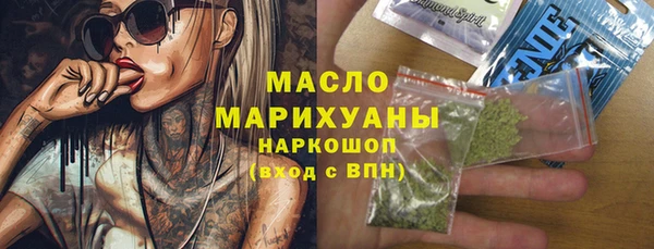 твердый Инсар