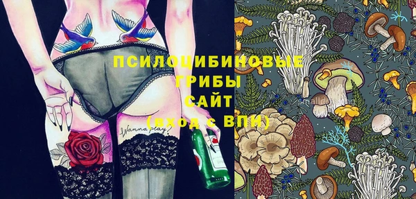 твердый Инсар