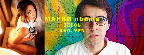твердый Инсар
