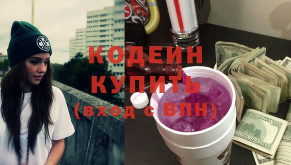 гидра Инта