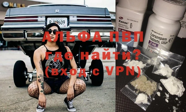 гидра Инта