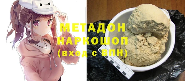 гидра Инта